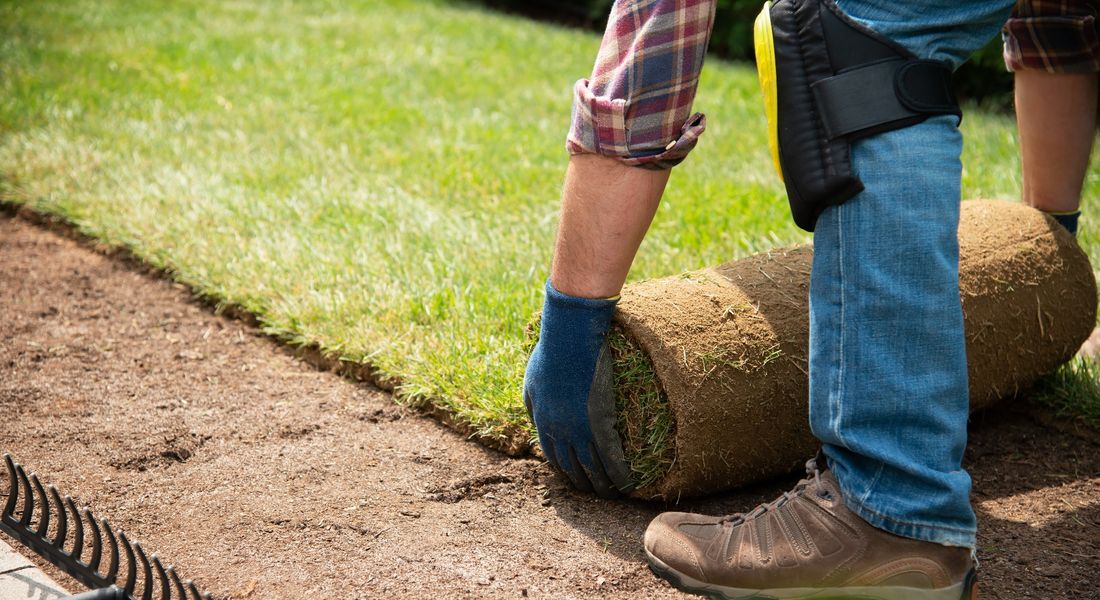 lay under artificial grass